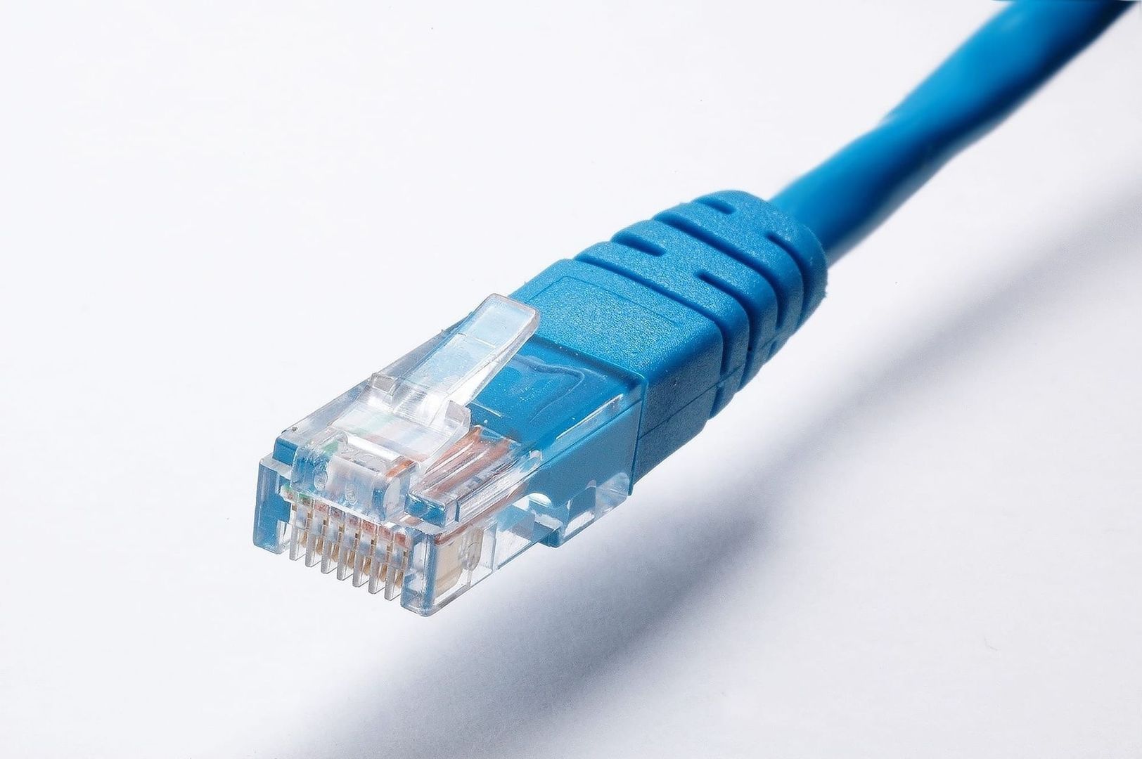 Blå Ethernetkabel med genomskinlig RJ45-kontakt på vit yta